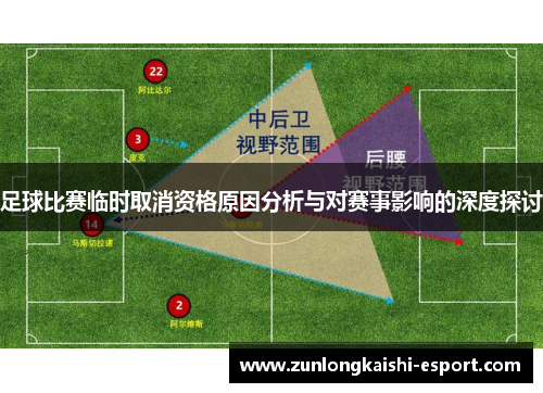 足球比赛临时取消资格原因分析与对赛事影响的深度探讨