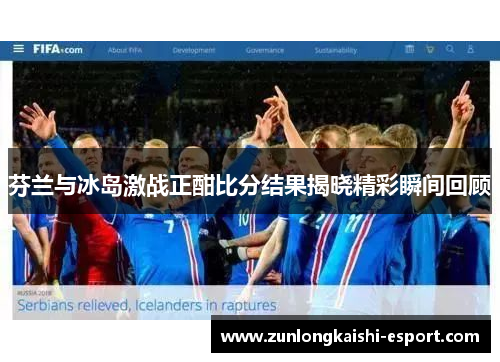 芬兰与冰岛激战正酣比分结果揭晓精彩瞬间回顾